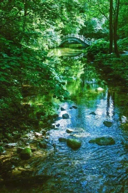 把健康与祝福为旅客打包带回家！齐鲁壹点举办“带福回家”活动