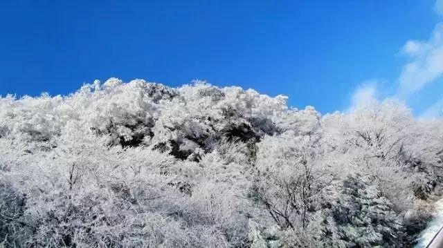 冯小刚与张艺谋：渐退与猛进