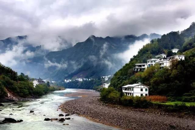 动物帮帮忙保卫家园