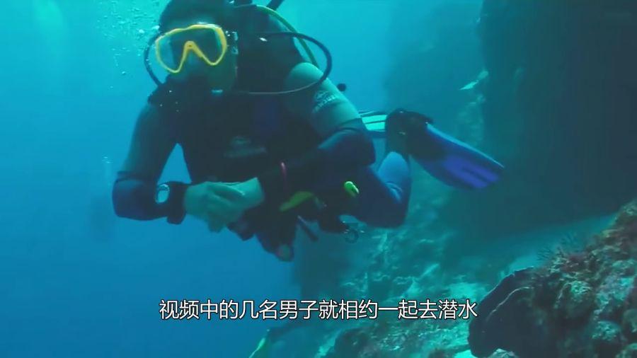 剑勇传奇忍者龙剑传Z