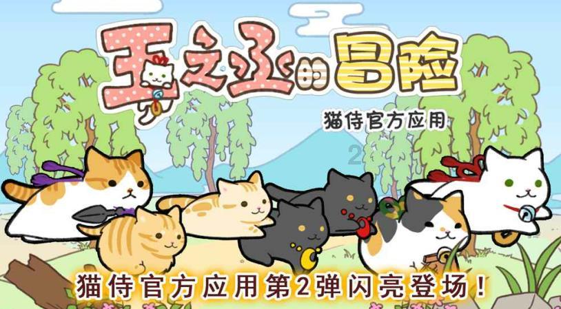 八旬老人误入山林 警民接力搜救18小时后将老人安全救回