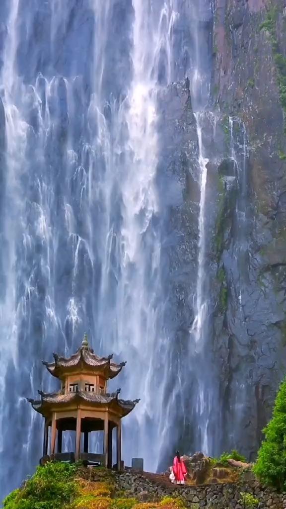 蜘蛛森林逃生