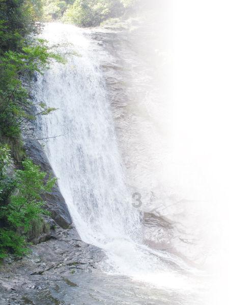 市妇联节前送温暖“送奖到基层”