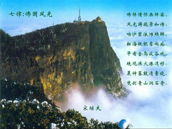 战锤：全面战争