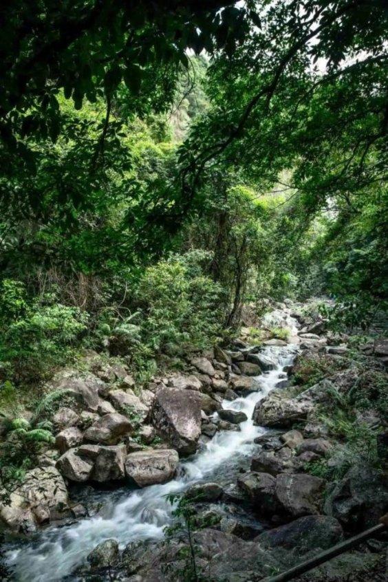 这一功能或将让荣耀独占2个月?友商被压到3月才能上?