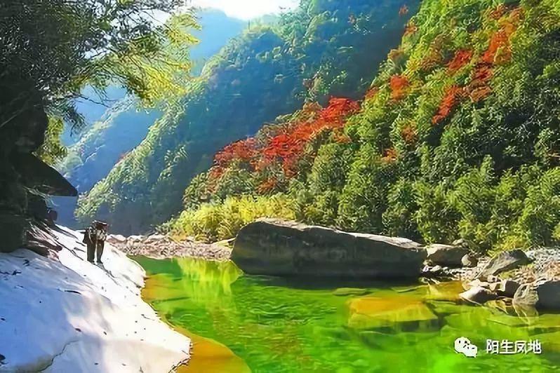 探秘抖音写脚本的人员叫什么解决你的疑惑